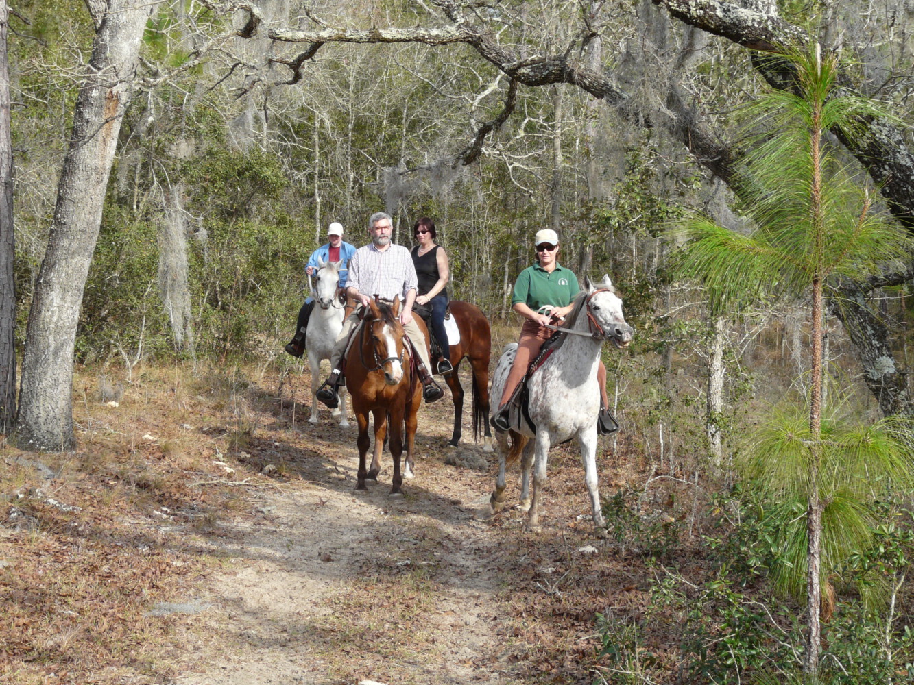 Reiten in Florida – Sonne, Strand und Pferde