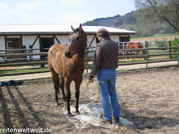 reiten--0208