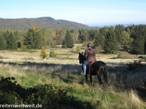 reiten-0070