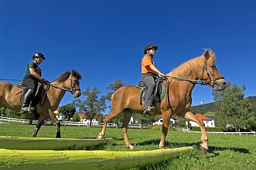 Reiten auf Islandpferden- Reisetipp aus dem Urlaubsland Oberösterreich